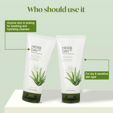 The Face Shop Herb day Cleansing Foam 170 ml | Face wash with aloe and green tea extracts | Face Wash for Dry Skin | Face wash that hydrates skin & maintains PH Level | Korean Skin care Products